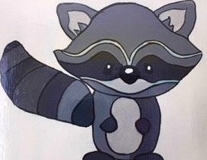 Enfant - Raton laveur